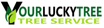 Tree service Phoenix Low Price- Certified – Licensed Logo