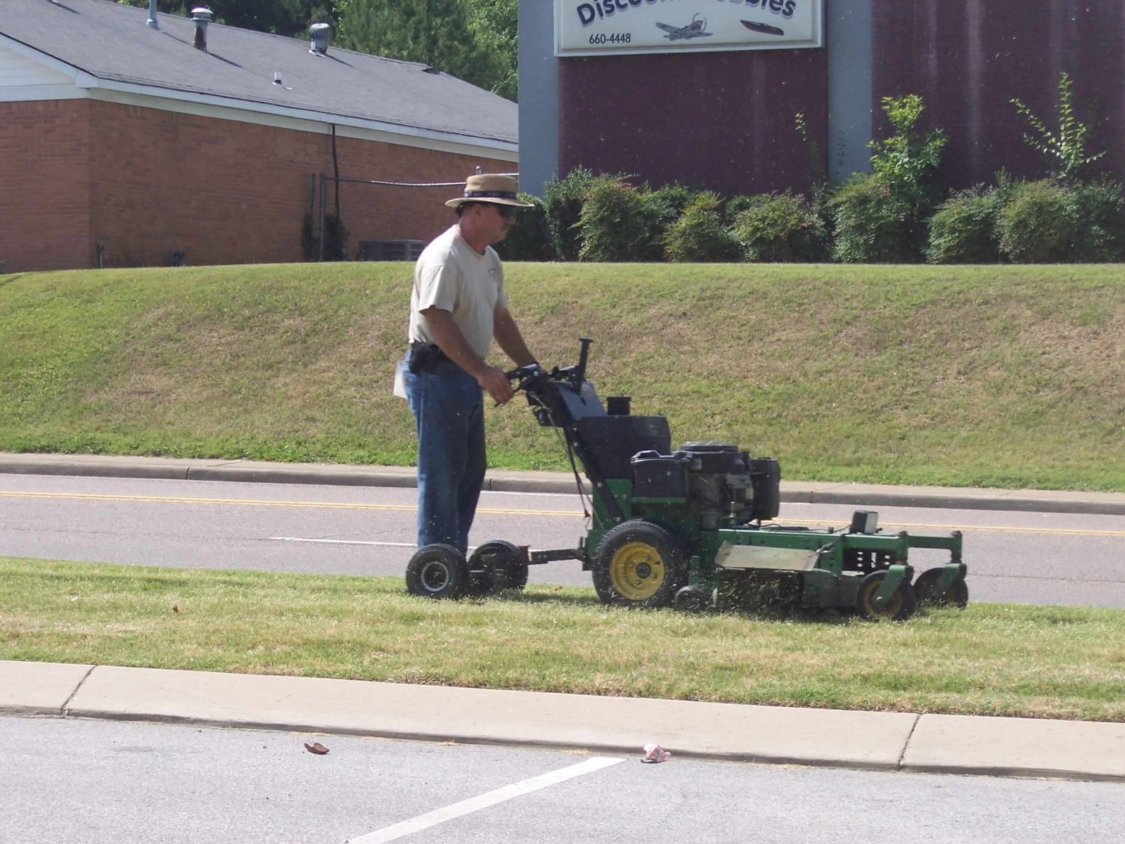 Tree Removal Avondale AZ